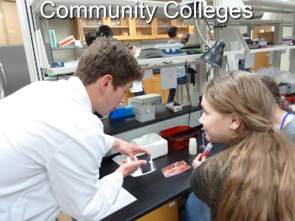Community colleges image